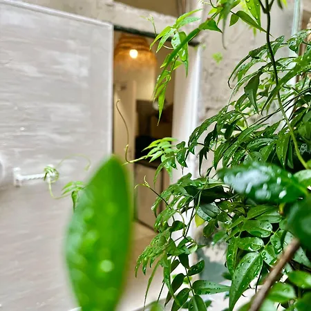 Appartamento Centre Calme Cosy *